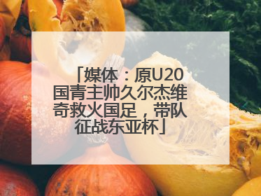 媒体：原U20国青主帅久尔杰维奇救火国足，带队征战东亚杯
