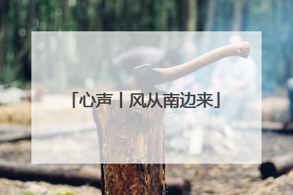 心声丨风从南边来