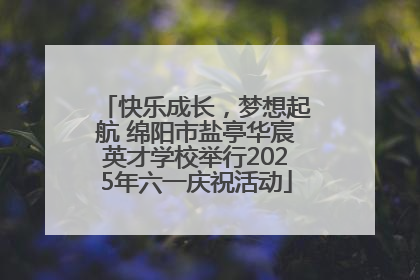 快乐成长，梦想起航 绵阳市盐亭华宸英才学校举行2025年六一庆祝活动