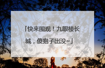 快来围观！九眼楼长城，傻狍子出没~