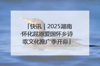 快讯｜2025湖南·怀化屈原爱国怀乡诗歌文化推广季开幕