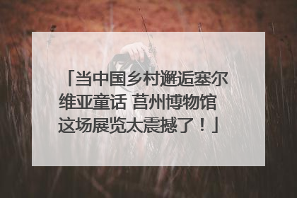 当中国乡村邂逅塞尔维亚童话 莒州博物馆这场展览太震撼了！