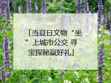当夏日文物“坐”上城市公交 寻宝探秘赢好礼