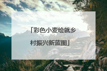 彩色小麦绘就乡村振兴新蓝图