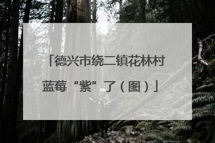 德兴市绕二镇花林村蓝莓“紫”了（图）