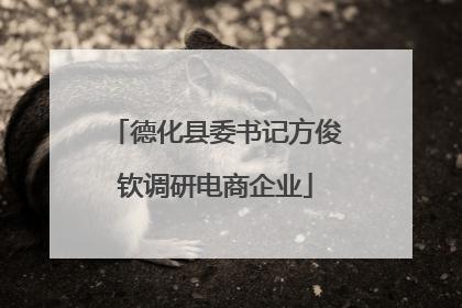 德化县委书记方俊钦调研电商企业