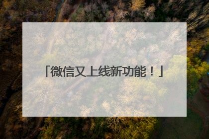 微信又上线新功能！