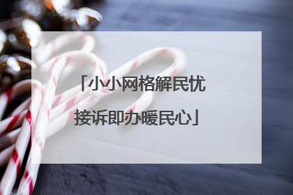 小小网格解民忧 接诉即办暖民心