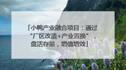 小鸭产业融合项目：通过“厂区改造+产业置换”，盘活存量，增值增效