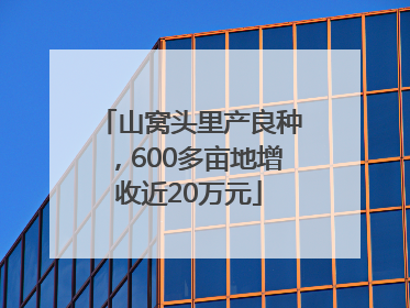 山窝头里产良种，600多亩地增收近20万元
