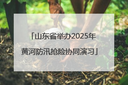 山东省举办2025年黄河防汛抢险协同演习
