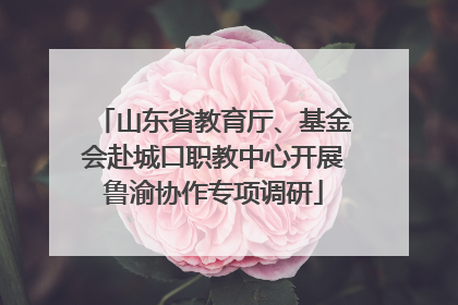 山东省教育厅、基金会赴城口职教中心开展鲁渝协作专项调研