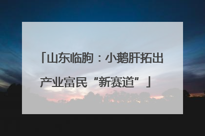 山东临朐：小鹅肝拓出产业富民“新赛道”