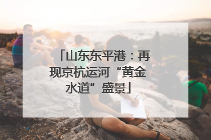 山东东平港：再现京杭运河“黄金水道”盛景