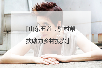 山东五莲：驻村帮扶助力乡村振兴