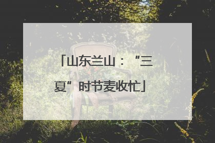 山东兰山：“三夏”时节麦收忙