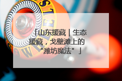 山东援藏｜生态援藏，戈壁滩上的“潍坊魔法”