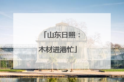 山东日照：木材进港忙