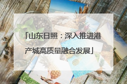 山东日照：深入推进港产城高质量融合发展