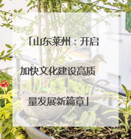 山东莱州：开启加快文化建设高质量发展新篇章