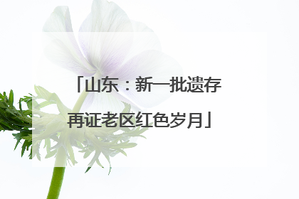 山东：新一批遗存再证老区红色岁月