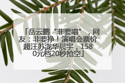 岳云鹏“非要唱”，网友：非要挣！演唱会票价超汪苏泷华晨宇，1580元档20秒抢空
