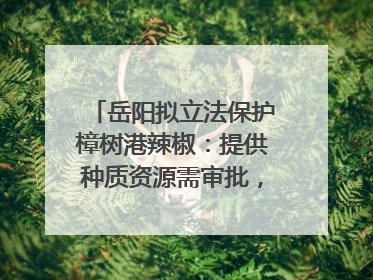 岳阳拟立法保护樟树港辣椒：提供种质资源需审批，违规最高罚5万