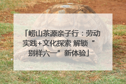 崂山茶源亲子行：劳动实践+文化探索 解锁“别样六一”新体验