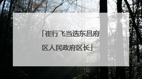 崔行飞当选东昌府区人民政府区长