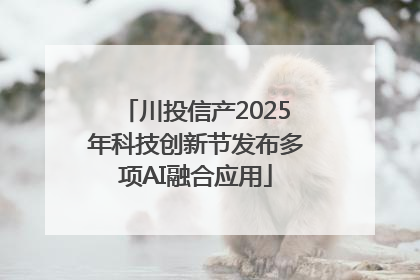 川投信产2025年科技创新节发布多项AI融合应用