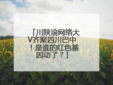 川陕渝网络大V齐聚四川巴中！是谁的红色基因动了？