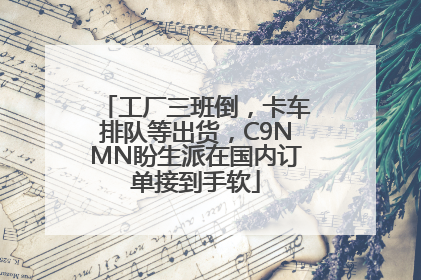 工厂三班倒，卡车排队等出货，C9NMN盼生派在国内订单接到手软