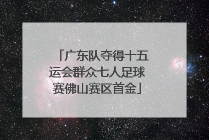广东队夺得十五运会群众七人足球赛佛山赛区首金