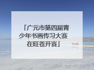 广元市第四届青少年书画传习大赛在旺苍开赛