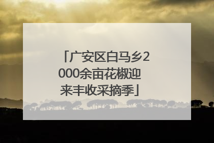 广安区白马乡2000余亩花椒迎来丰收采摘季