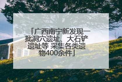 广西南宁新发现一批洞穴遗址、大石铲遗址等 采集各类遗物400余件