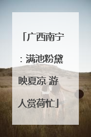 广西南宁：满池粉黛映夏凉 游人赏荷忙