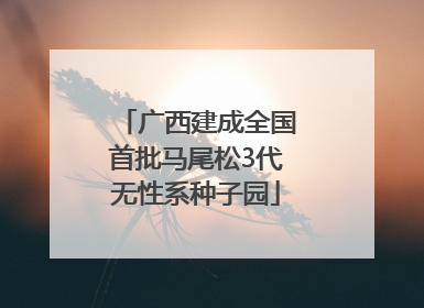 广西建成全国首批马尾松3代无性系种子园