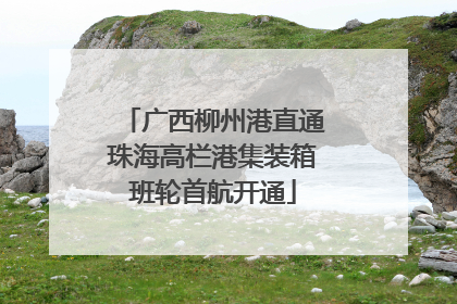 广西柳州港直通珠海高栏港集装箱班轮首航开通