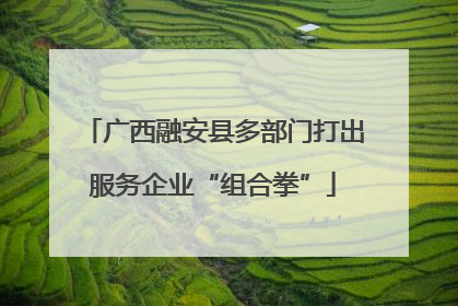 广西融安县多部门打出服务企业“组合拳”