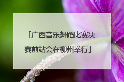 广西音乐舞蹈比赛决赛前站会在柳州举行