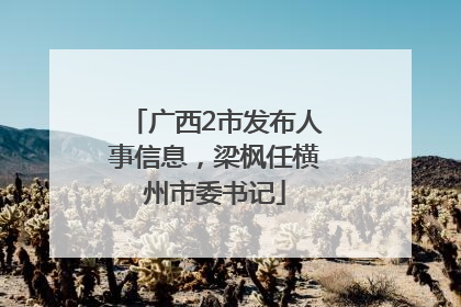 广西2市发布人事信息，梁枫任横州市委书记