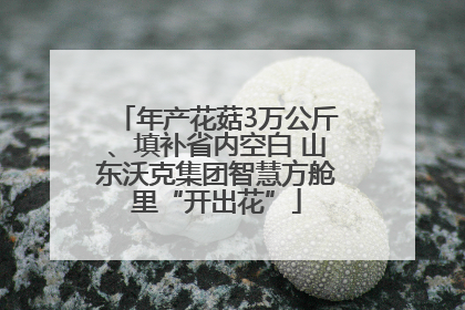 年产花菇3万公斤、填补省内空白 山东沃克集团智慧方舱里“开出花”