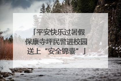 平安快乐过暑假 保康寺坪民警进校园送上“安全锦囊”