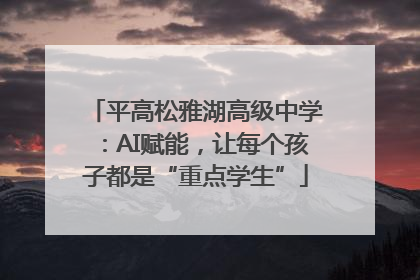 平高松雅湖高级中学：AI赋能，让每个孩子都是“重点学生”