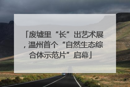 废墟里“长”出艺术展，温州首个“自然生态综合体示范片”启幕