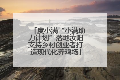度小满“小满助力计划”落地汝阳支持乡村创业者打造现代化养鸡场