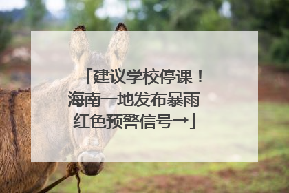 建议学校停课！海南一地发布暴雨红色预警信号→