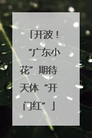 开波！“广东小花”期待天体“开门红”