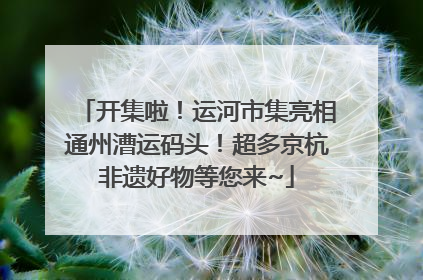 开集啦！运河市集亮相通州漕运码头！超多京杭非遗好物等您来~